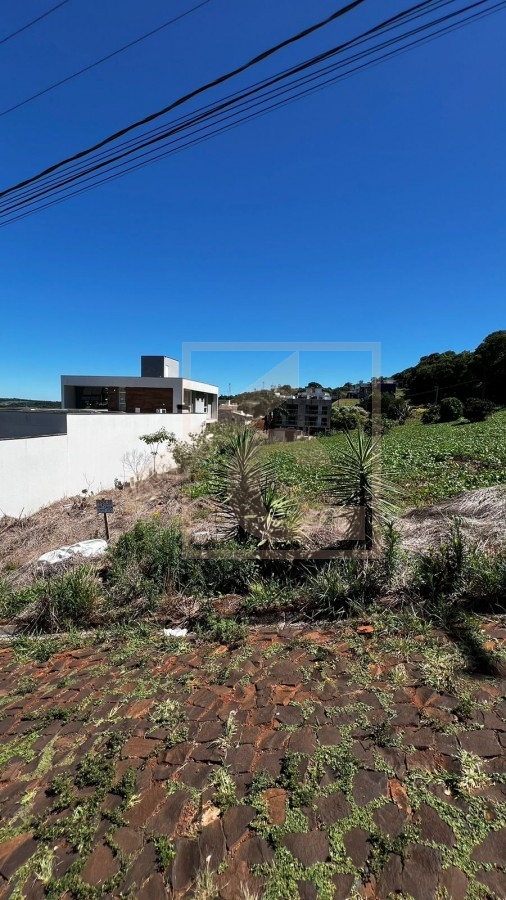 Terreno à venda em Pato Branco Bairro Vila Isabel 