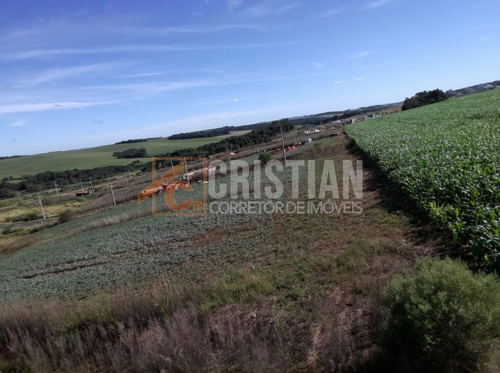 Terreno à venda em Pato Branco no Bairro Fraron-  Loteamento Dom Luiz  Q-2175 L -31