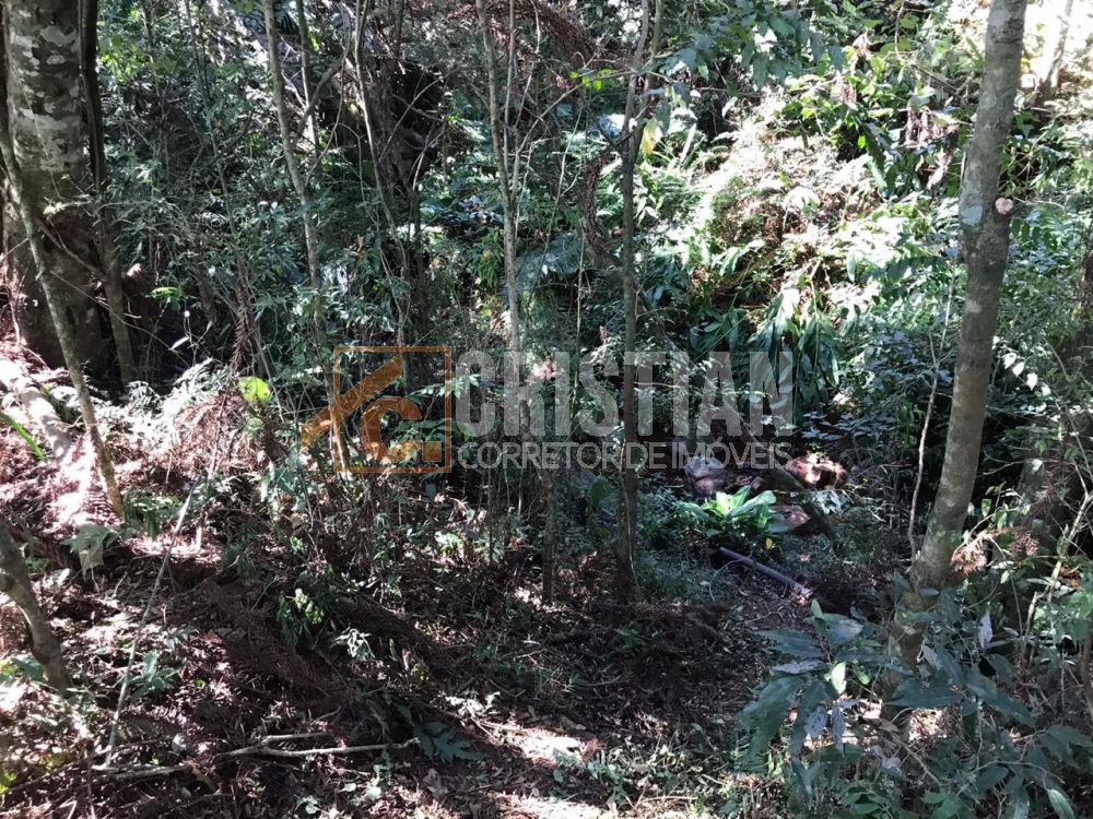 Chácaras à venda em Pato Branco no bairro Gralha Azul