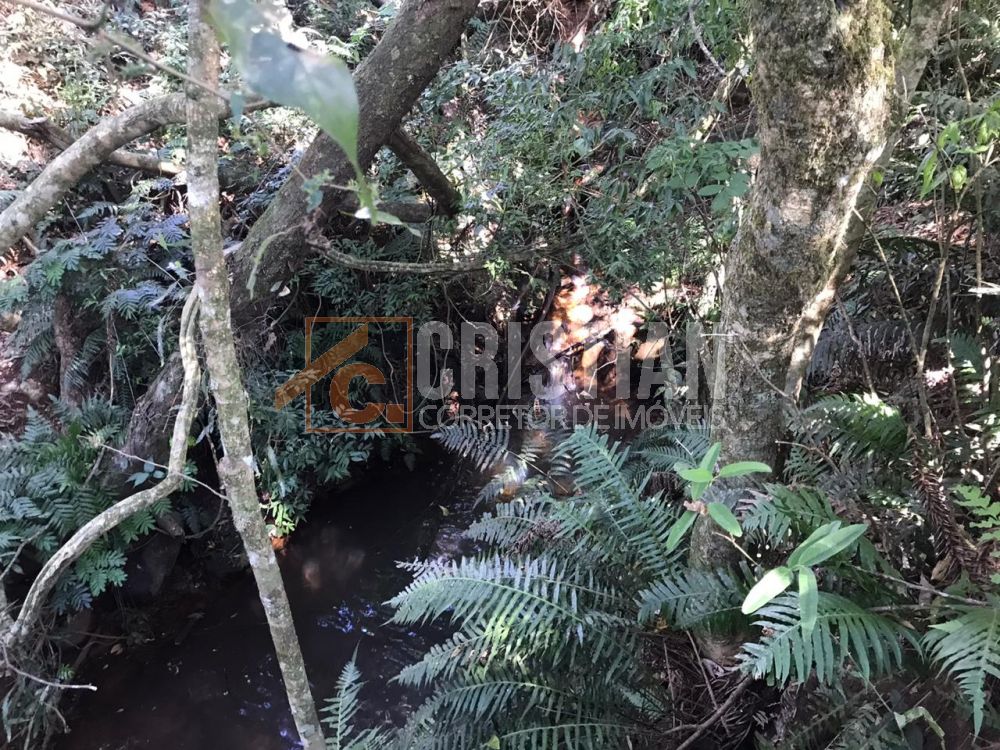 Chácaras à venda em Pato Branco no bairro Gralha Azul