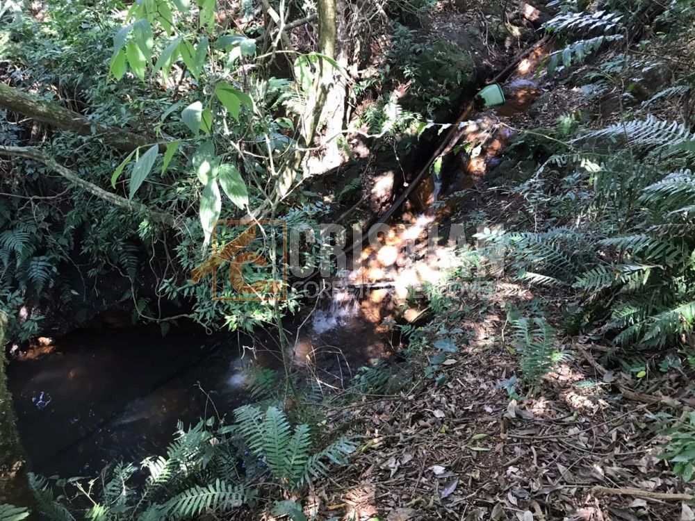 Chácaras à venda em Pato Branco no bairro Gralha Azul