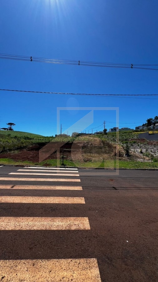 Terreno à venda em Pato Branco no bairro Cadorin