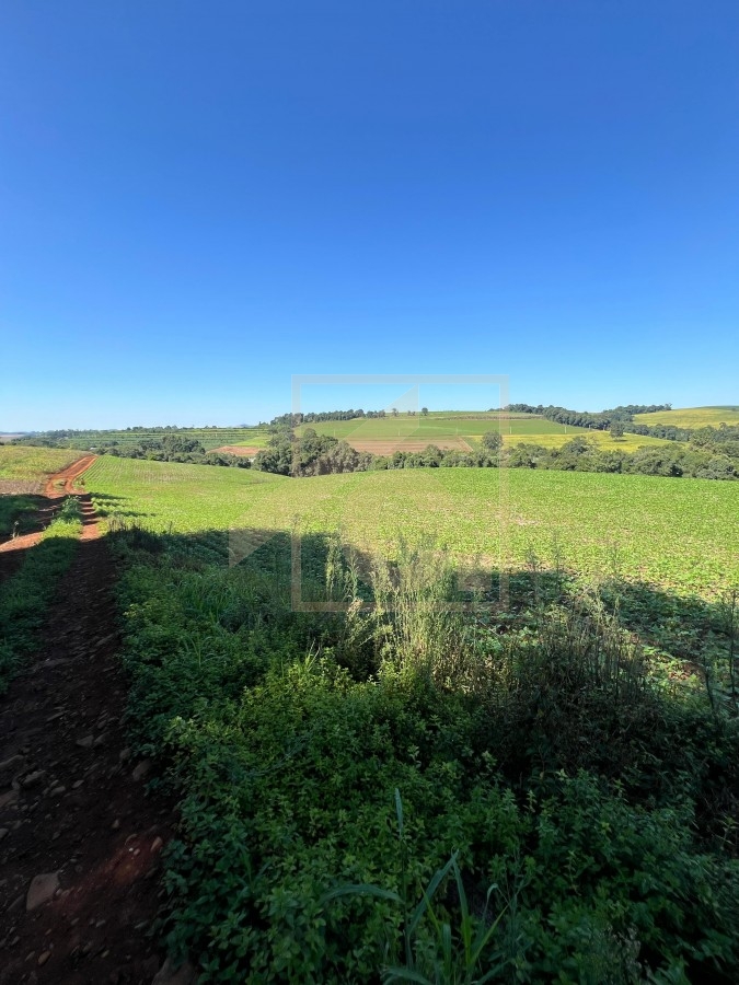Chácara à venda em Pato Branco