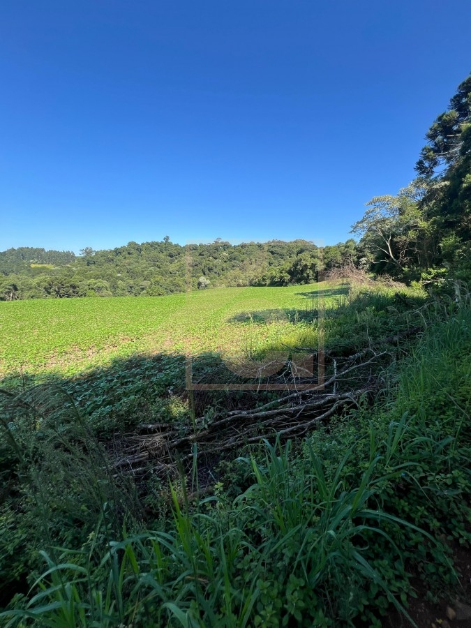 Chácara à venda em Pato Branco
