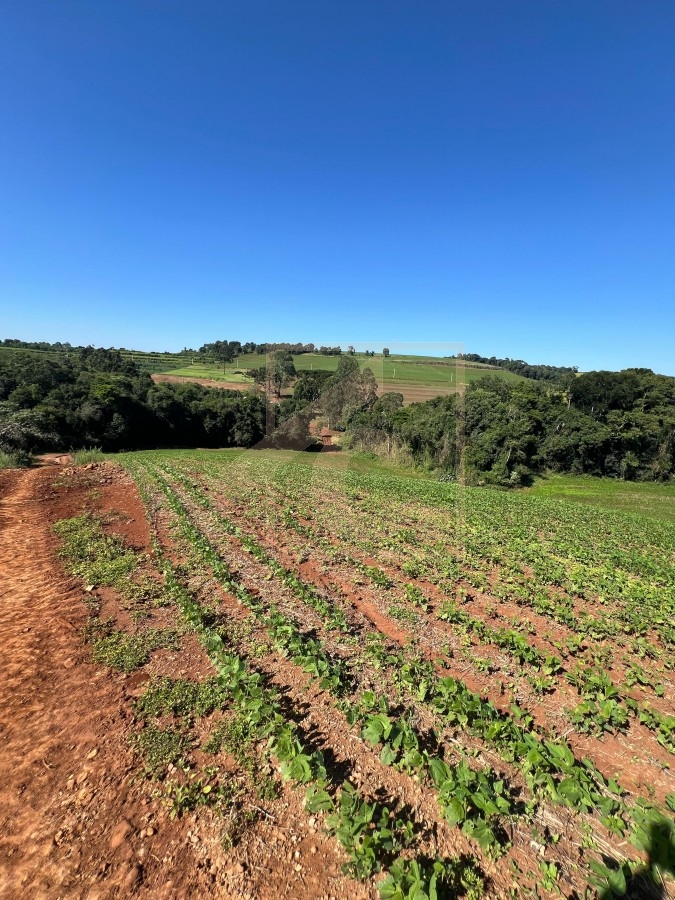 Chácara à venda em Pato Branco
