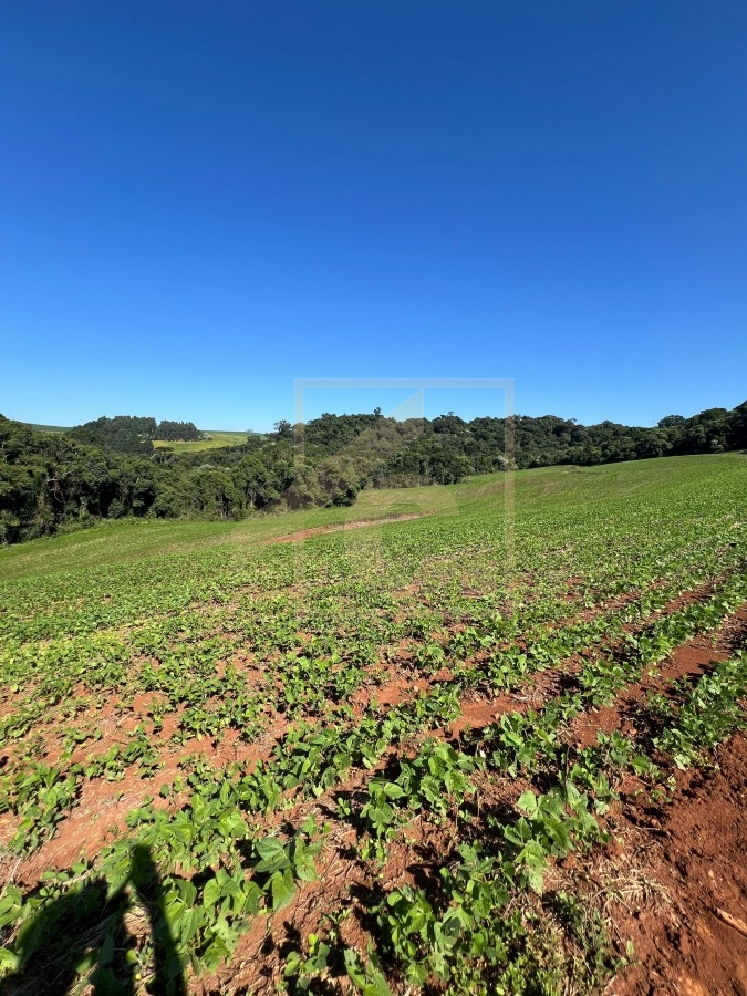 Chácara à venda em Pato Branco