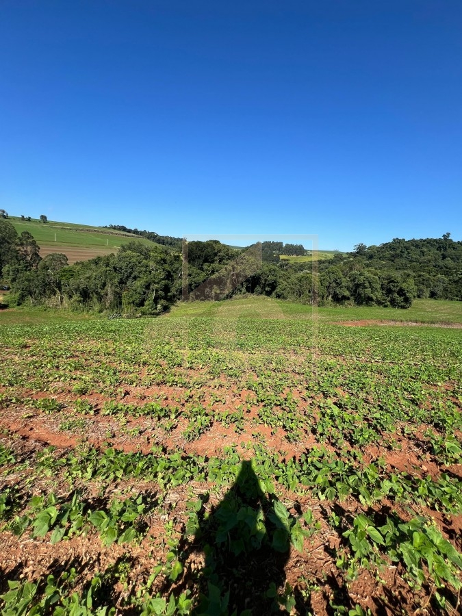 Chácara à venda em Pato Branco