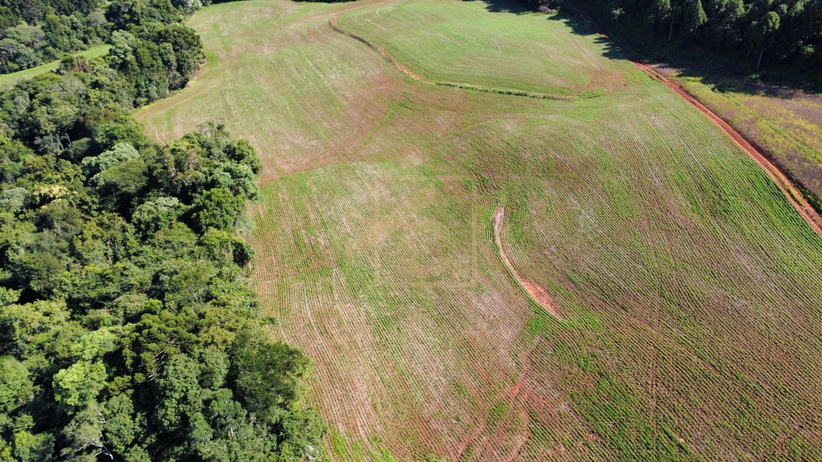 Chácara à venda em Pato Branco