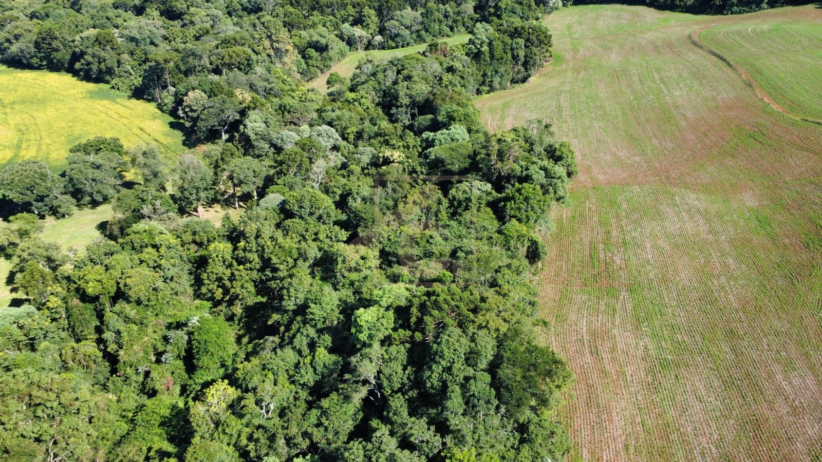 Chácara à venda em Pato Branco