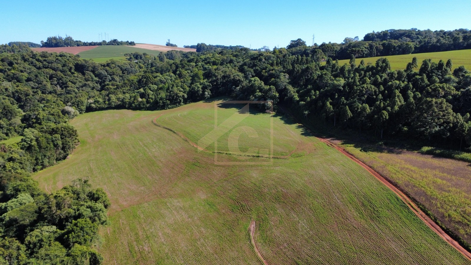 Chácara à venda em Pato Branco
