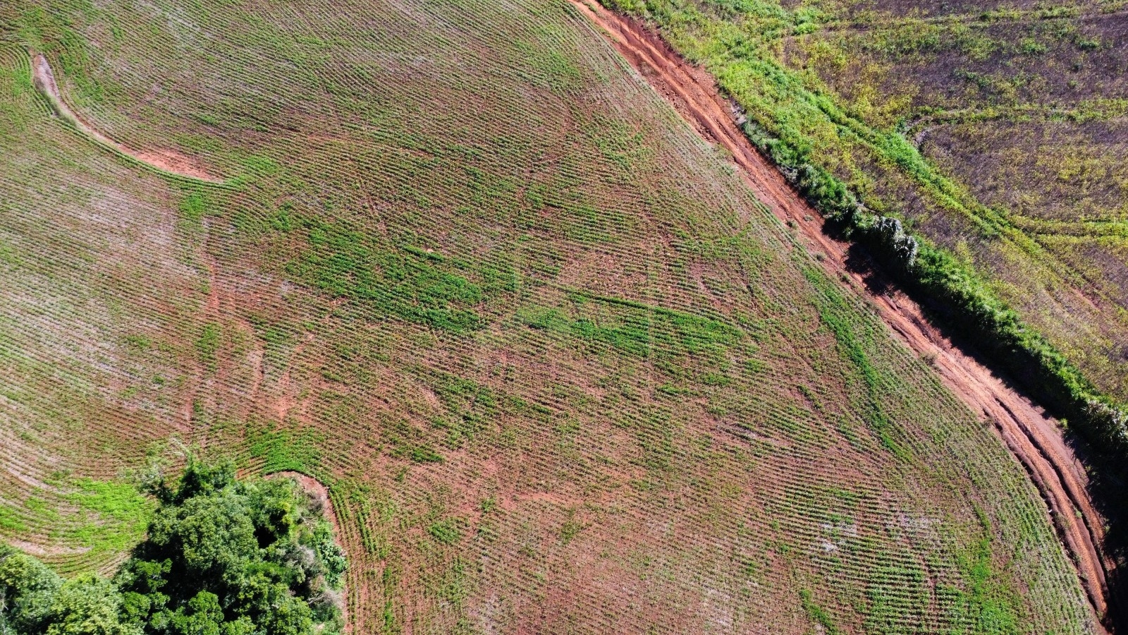 Chácara à venda em Pato Branco