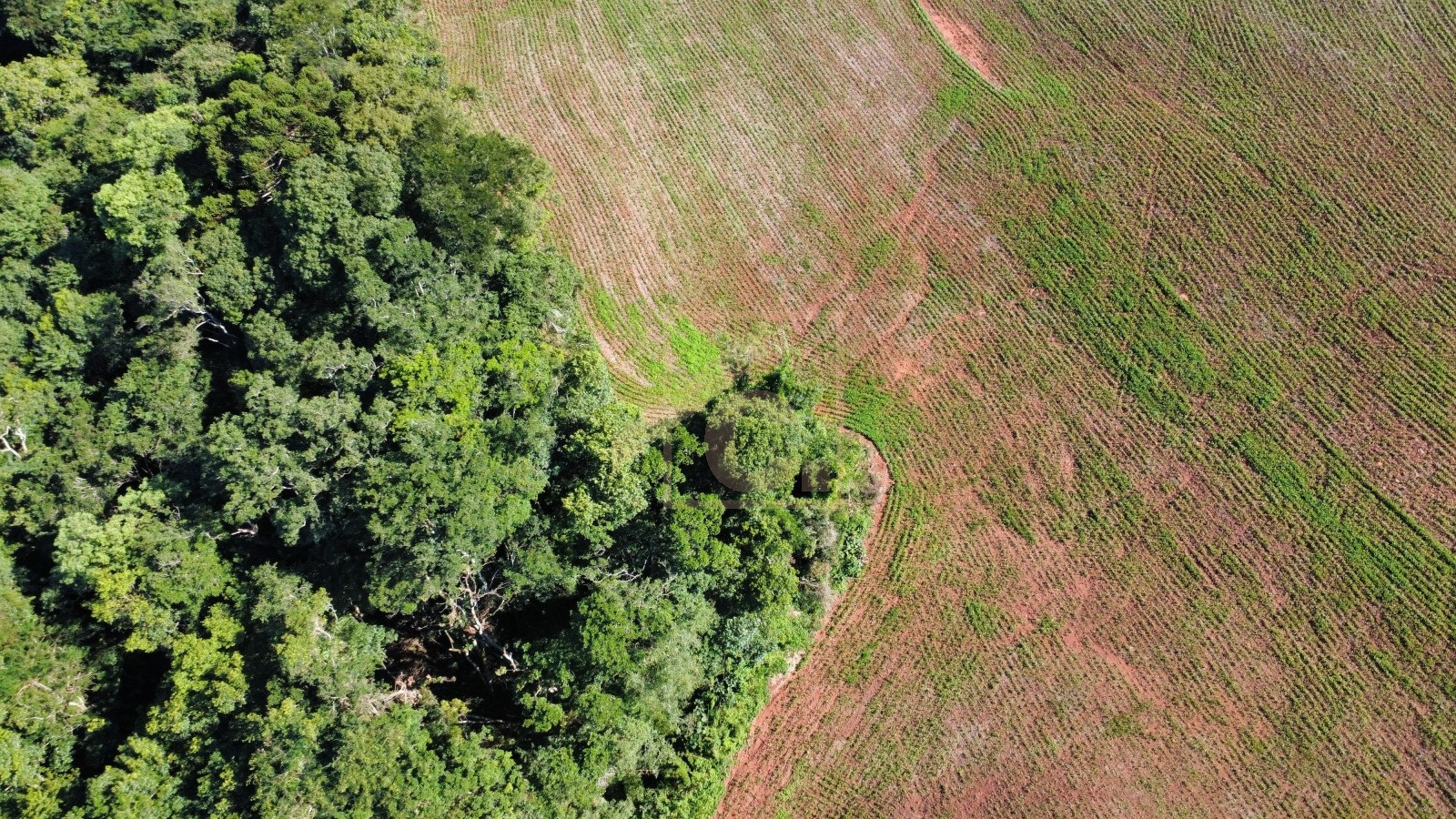 Chácara à venda em Pato Branco