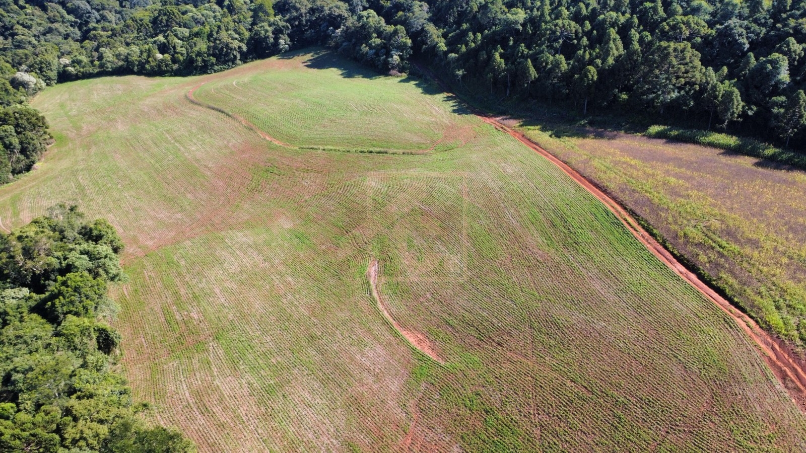 Chácara à venda em Pato Branco