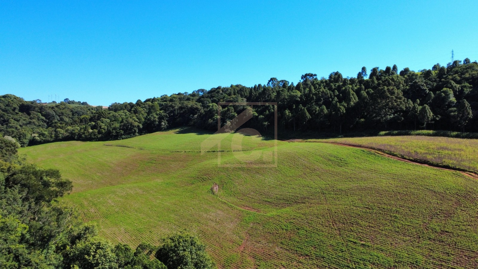 Chácara à venda em Pato Branco