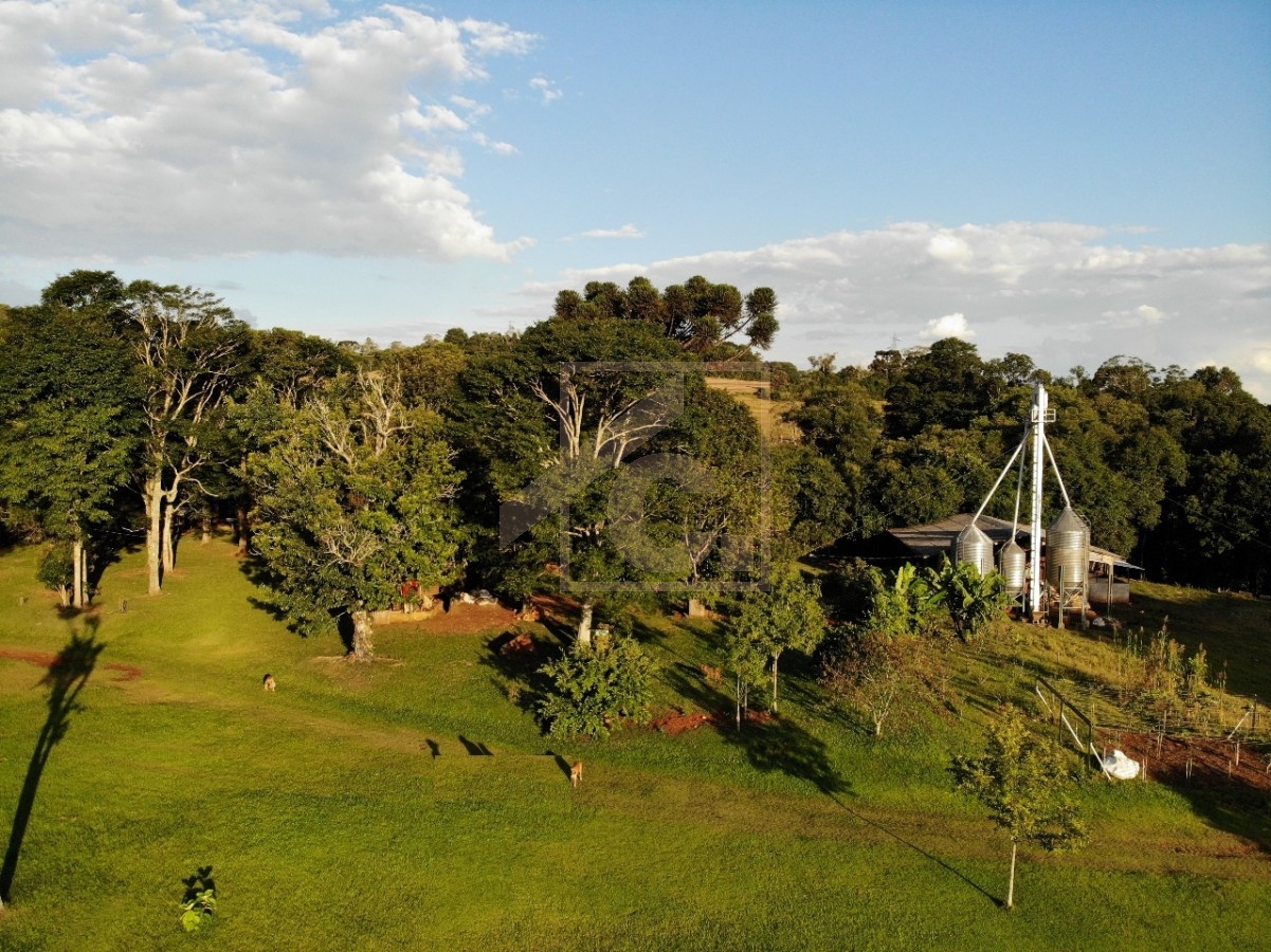 Chácara à venda em Pato Branco