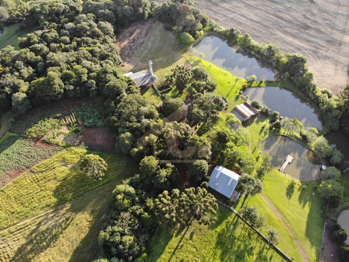 Chácara à venda em Pato Branco