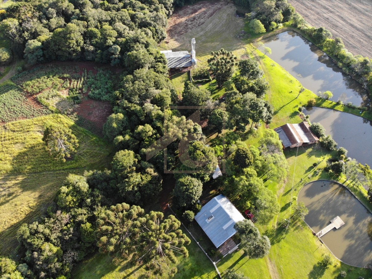 Chácara à venda em Pato Branco