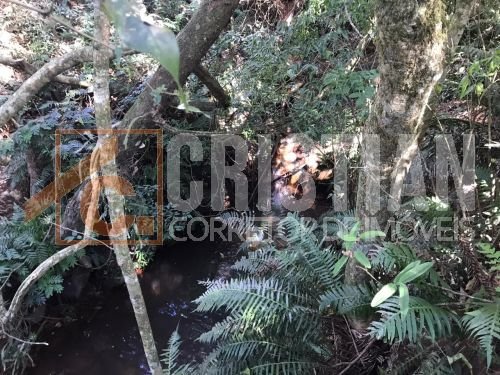 Chácaras à venda em Pato Branco no bairro Gralha Azul