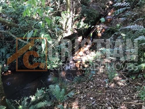 Chácaras à venda em Pato Branco no bairro Gralha Azul
