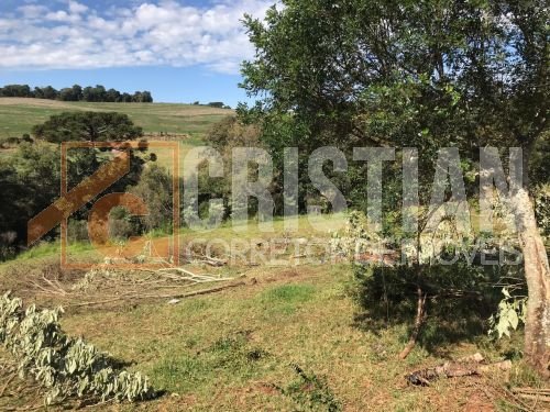 Chácaras à venda em Pato Branco no bairro Gralha Azul