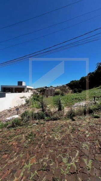 Terreno à venda em Pato Branco Bairro Vila Isabel 