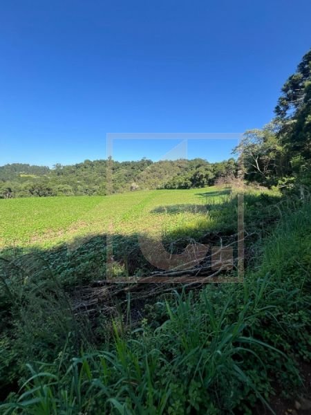 Chácara à venda em Pato Branco