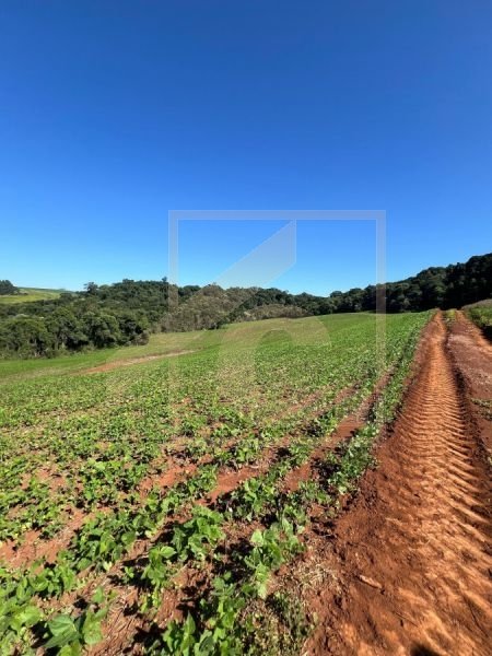 Chácara à venda em Pato Branco