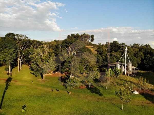Chácara à venda em Pato Branco